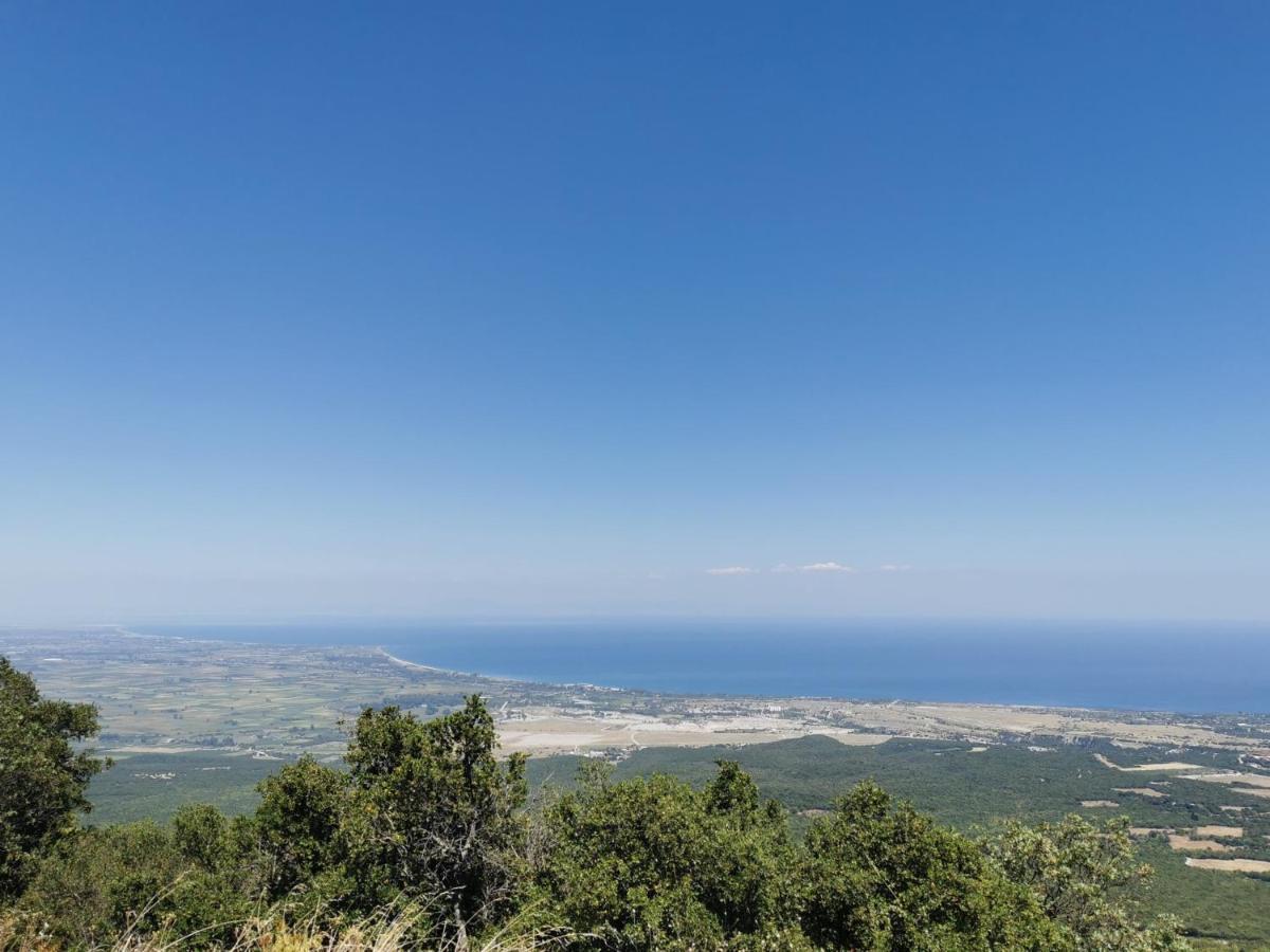 Villa Olympia Paralía Exteriér fotografie